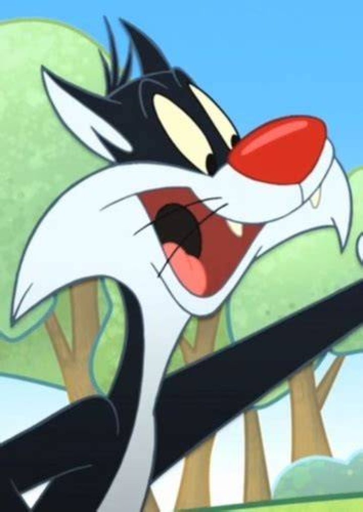 Fan Casting Jeff Bergman as Sylvester in The Looney Tunes Show on myCast