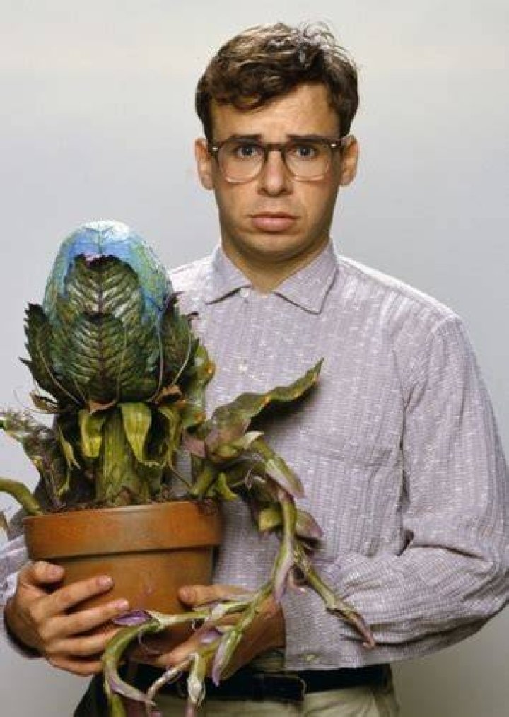Fan Casting Jeremy Jordan as Seymour in Little Shop of Horrors on myCast