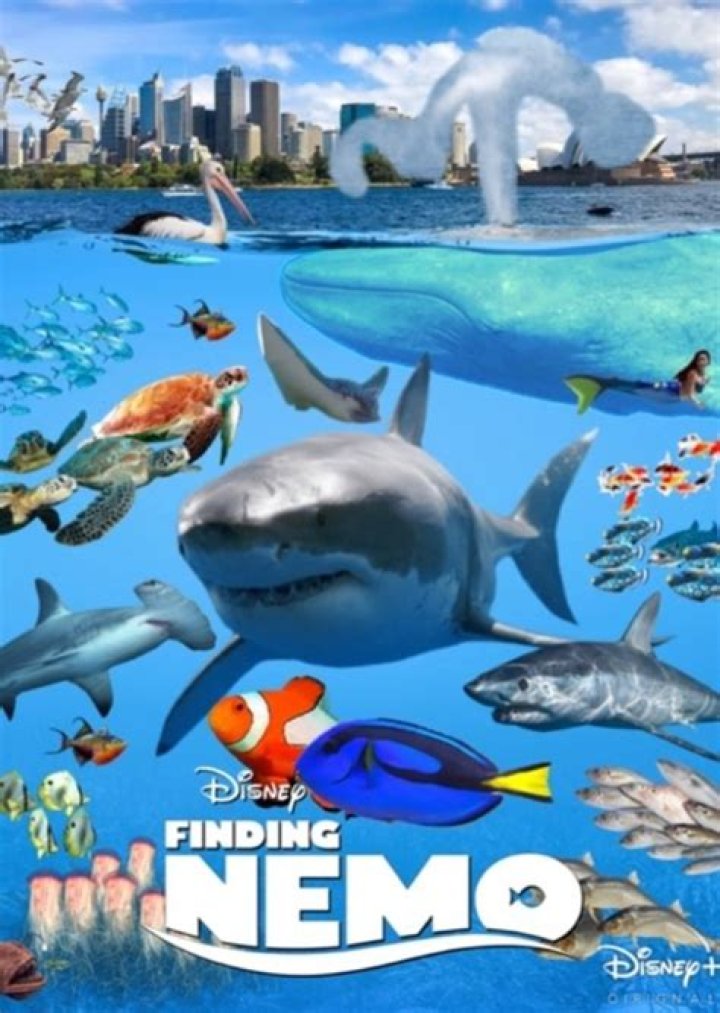 Fan Casting John C. Reilly as the school of Moonfish in Finding Nemo on myCast