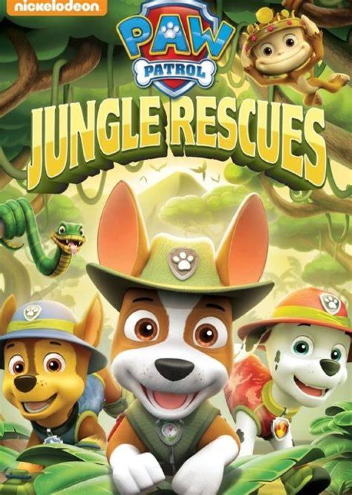 Fan Casting John Cena as The Cameo in The Perfect PAW Patrol Movie on myCast