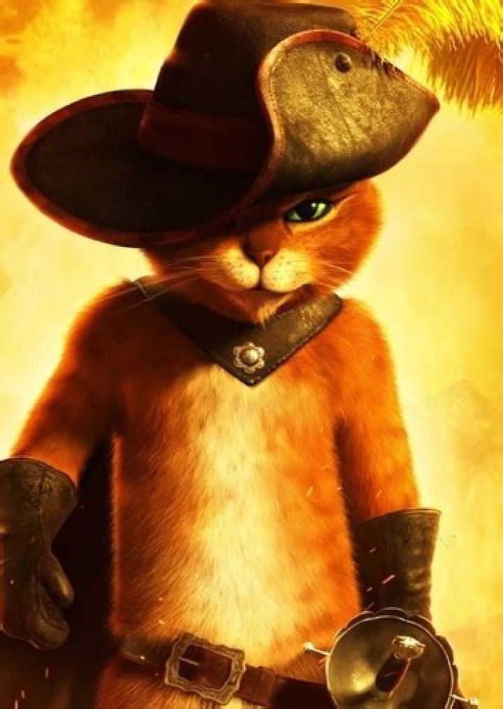 Fan Casting Johnny Depp as Voice of Puss in Boots in Shrek (Live Action) on myCast