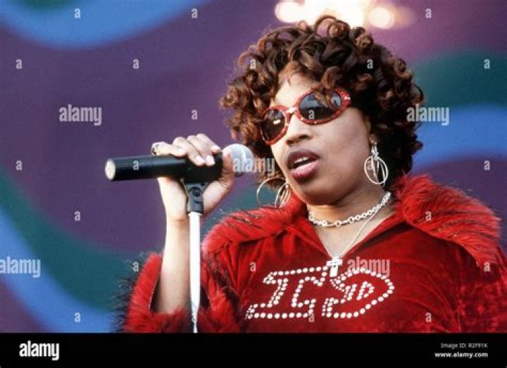 Fan Casting Macy Gray as Macy Gray in Spider-Man (2002)