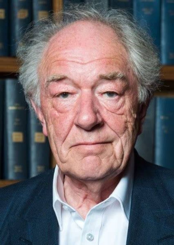 Fan Casting Michael Gambon as Gandalf in The Lord of the Rings on myCast
