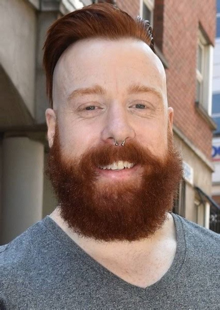 Fan Casting Sheamus as Mammoth in Teen Titans (2023 Film) on myCast