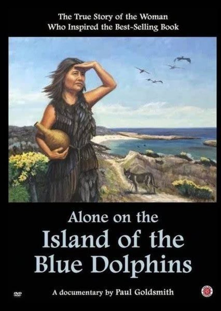 Fan Casting Sunny Pawar as Ramo in Island of the Blue Dolphins on myCast