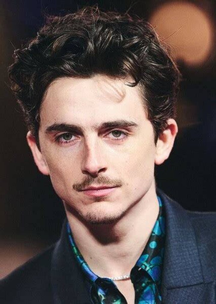 Fan Casting Timothée Chalamet as Loki Laufeyson in Thor (MCU Reboot) on myCast