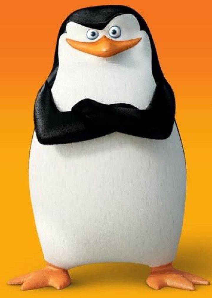 Fan Casting Tom McGrath as Skipper in The Penguins of Madagascar on myCast