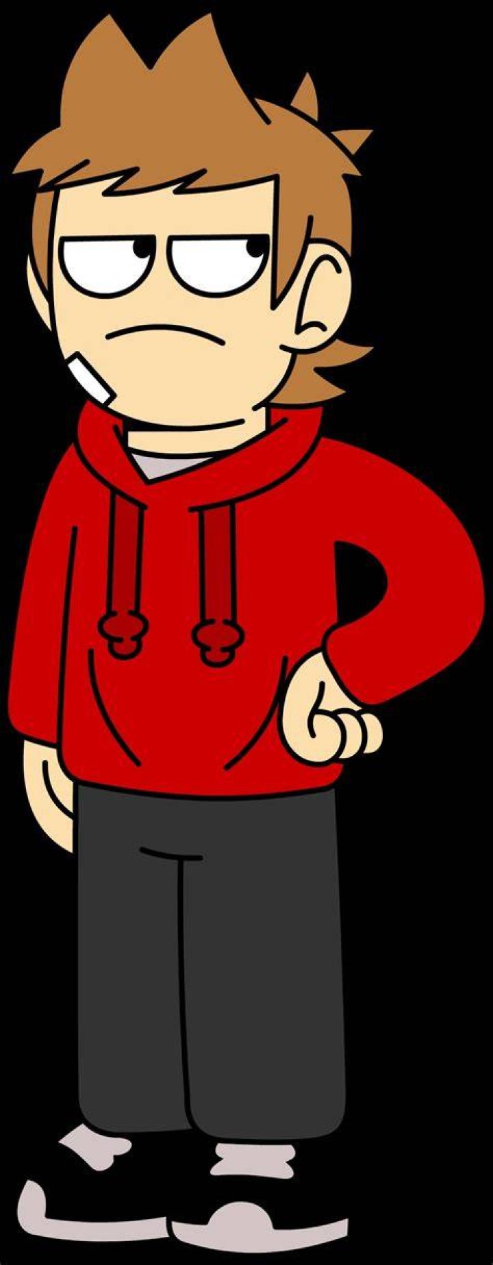 Fan Casting Tord Larsson as Tord(2005-2008,2010) in Eddsworld(US Dub) on myCast