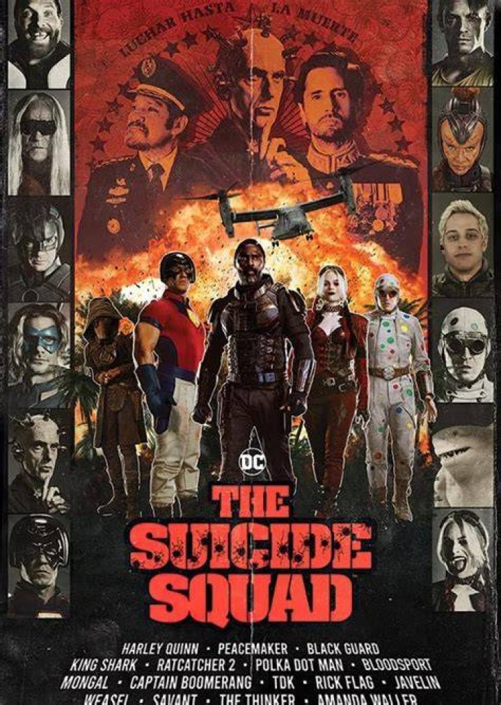 Fan Casting Vin Diesel as Big Sir in Suicide Squad 2: Janus Directive on myCast