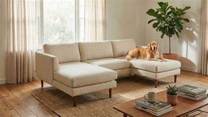 Finding The Perfect Pet Friendly Sectional For Your Home