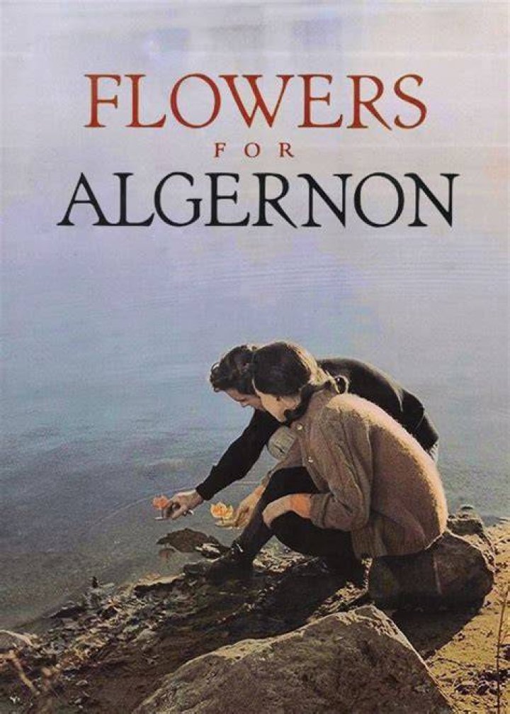 Flowers For Algernon Fan Casting on myCast