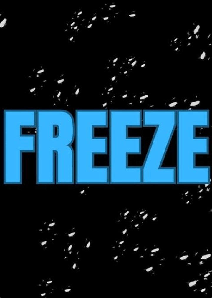 Freeze Man Fan Casting
