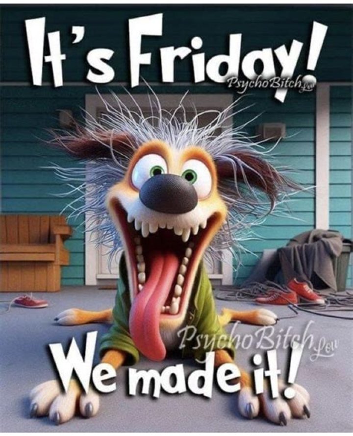 Funny Happy Friday Pics Pin By Debby Chalmers Grover On Friday Happy