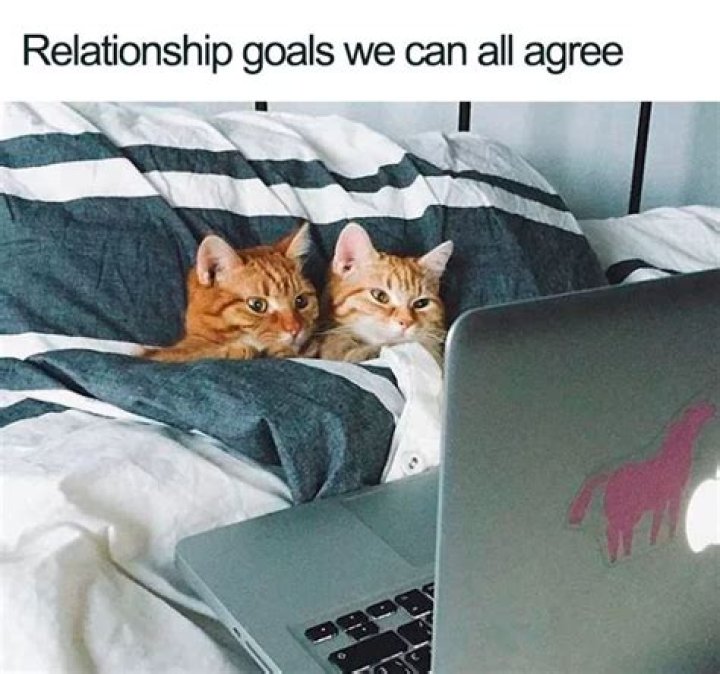 Funny Relationship Memes The best memes about relationships