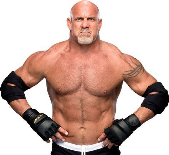 goldberg in 2016