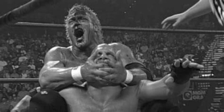 Goldberg Vs Sid Vicious