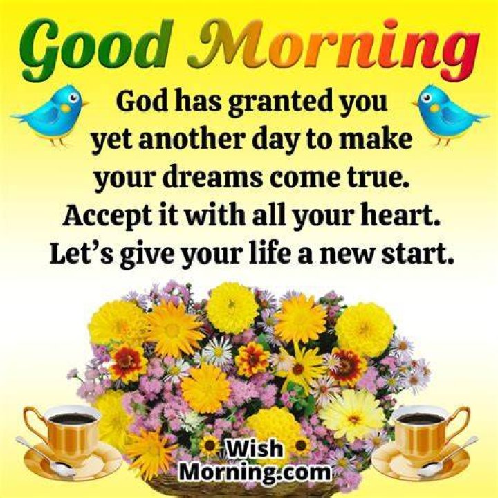 Good Morning message for whatsapp Gujarati Pictures Website