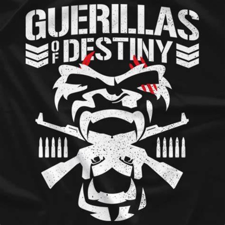 Guerrillas Of Destiny 