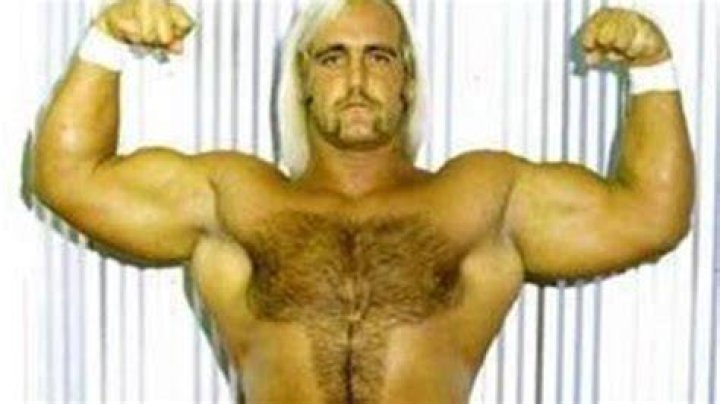Hairy Hulk Hogan
