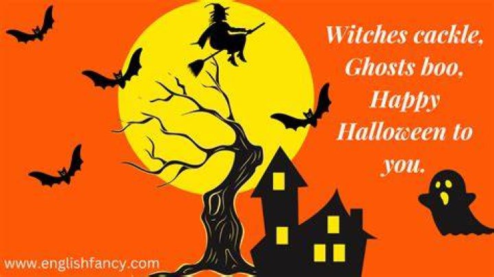 Halloween Greetings 2024 funny costumes to wear for halloween 2024