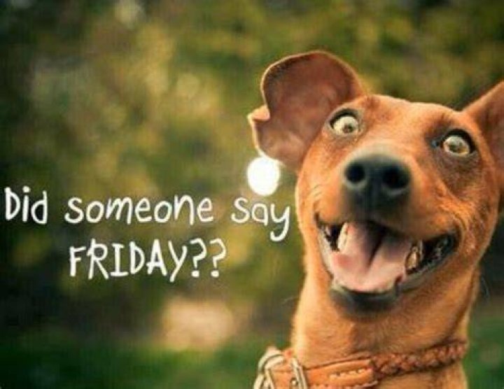 Happy Friday Jokes of the day (48661)