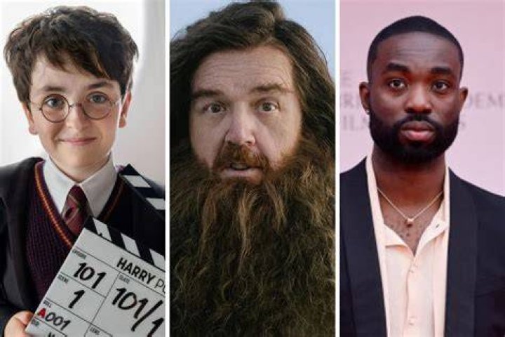 Harry Potter (TV Reboot)