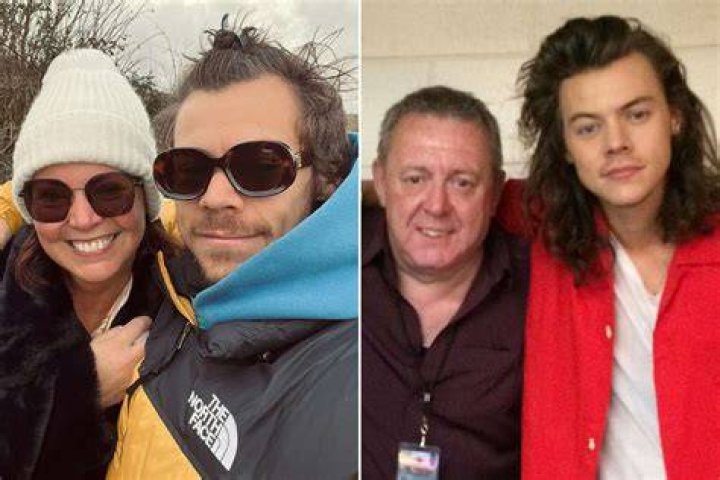 Harry Styles Des Styles