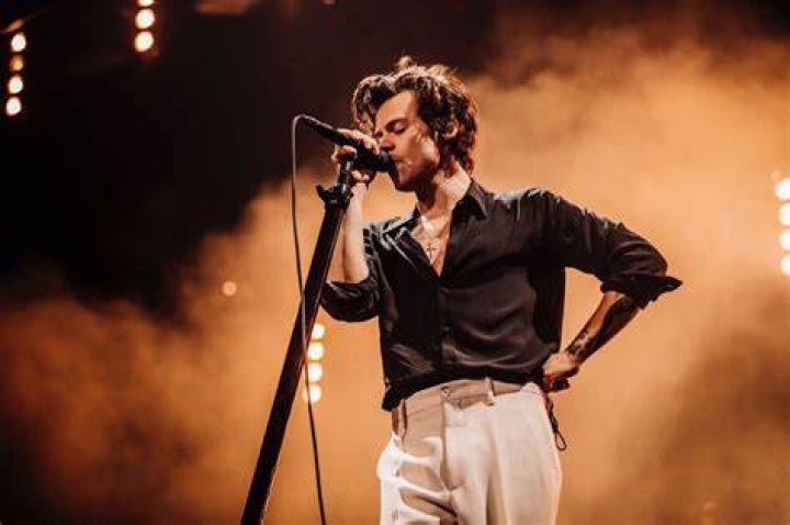 Harry Styles' Dad Didn't Approve Of One Of His ExGirlfriends