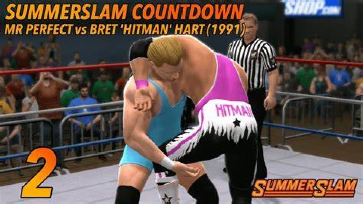 Hart v Perfect SummerSlam 1991