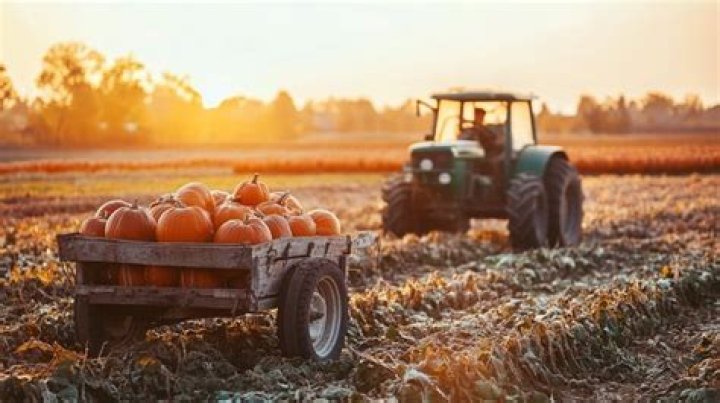Harvest