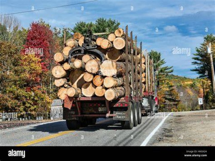 hauling lumber truck