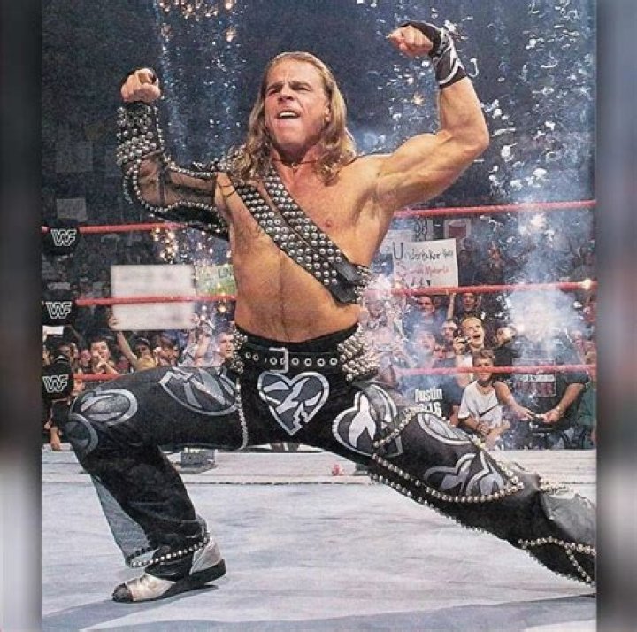 HBK and The game, a legendary friendship between Shawn Michaels and Triple h