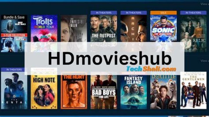 HDMoviesHub A Thorough Review