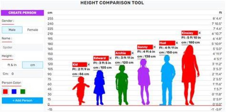 Height Comparison of Hollywood&rsquo;s AListers From Shortest To Tallest