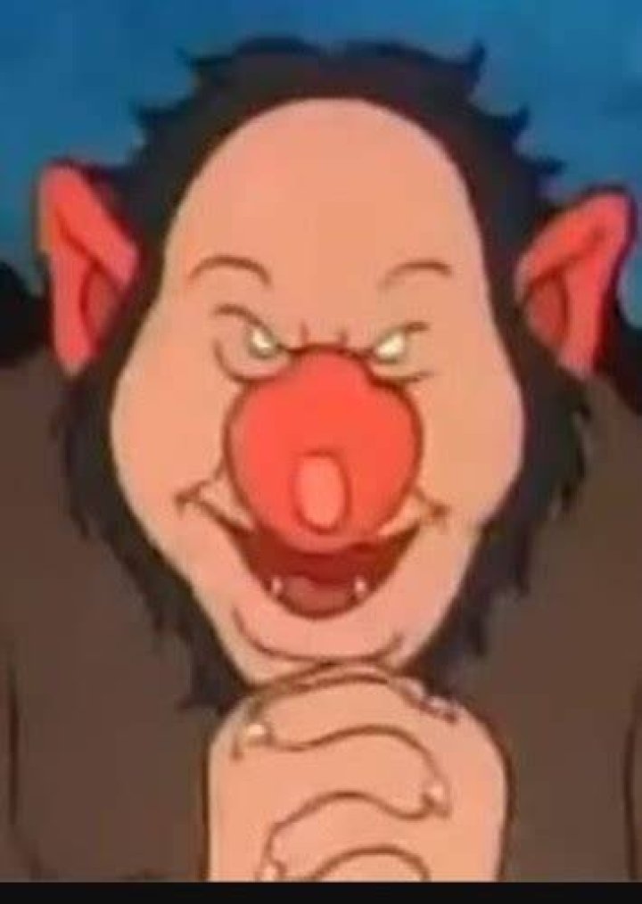 Holler Fan Casting for David the Gnome | myCast