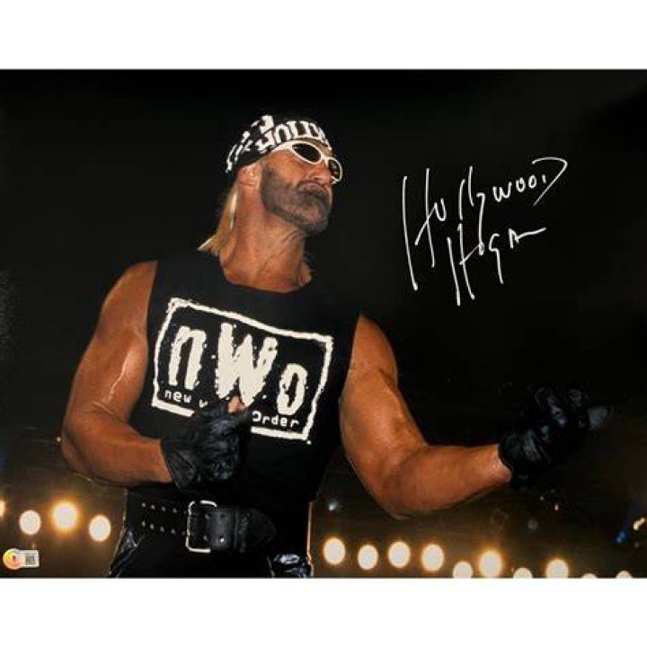 Hollywood Hulk Hogan NWO