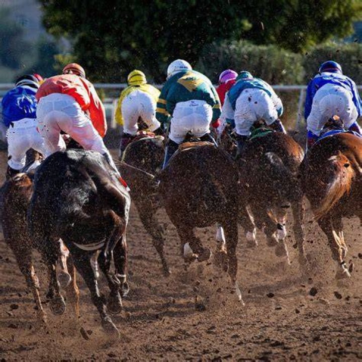 Horse Racing Association Unveils Game-Changing Alterations for $500,000 Joe
Hirsch Grade 1 Stakes