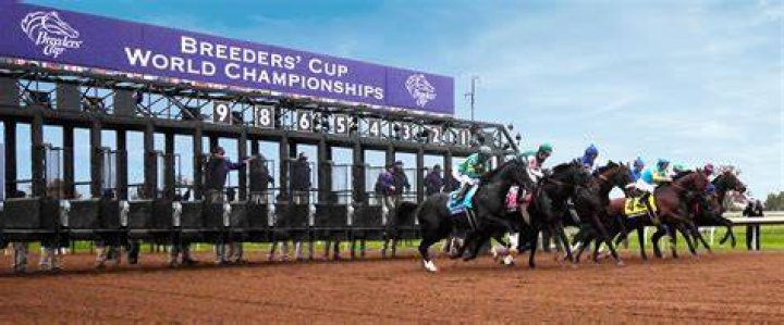 Horse Racing World Unveils Official Victor of 2023 Breeders’ Cup Betting
Challenge