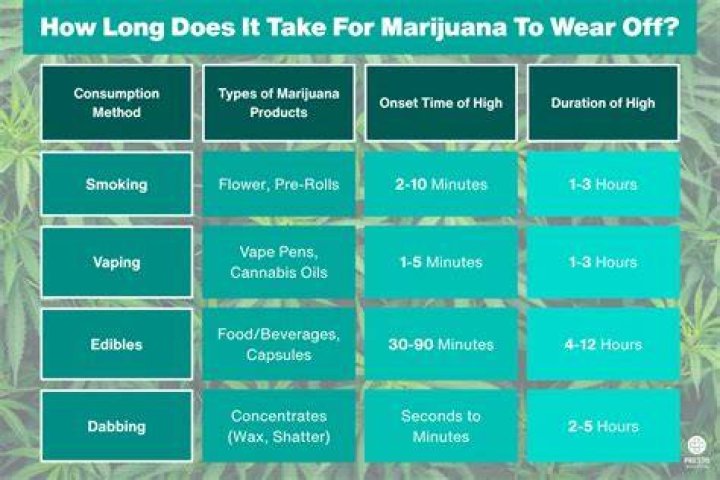 how long does it take for grass seed to grow