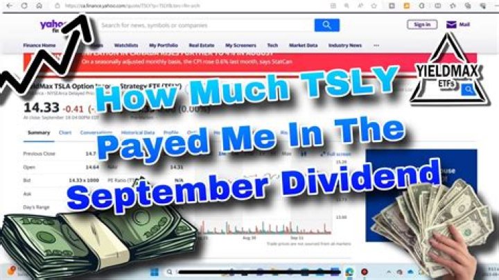 How often does TSLY pay dividends?