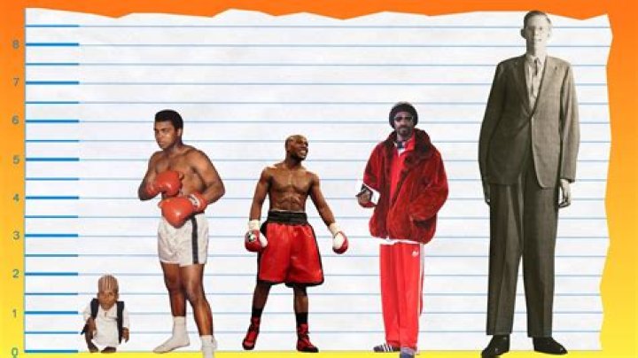 How Tall Is Muhammad Ali? Height Comparison! YouTube