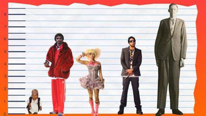 How Tall Is Snoop Dogg? Height Comparison! YouTube