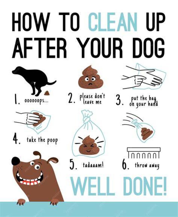 How to Clean Up Dog Poop in 8 Easy Ways