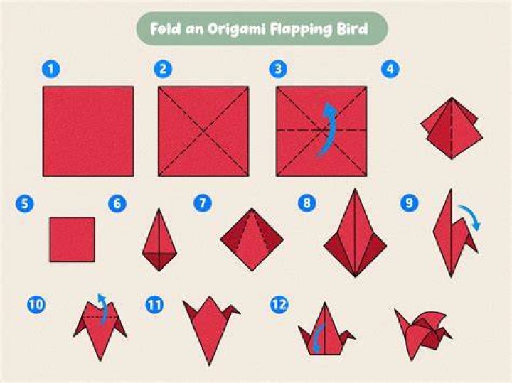 How To Make A Bird Feeder Bird Feeder Side Template with grid background