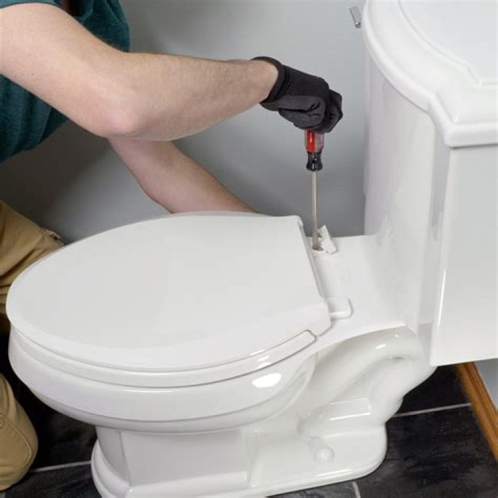 How to Replace a Toilet Seat