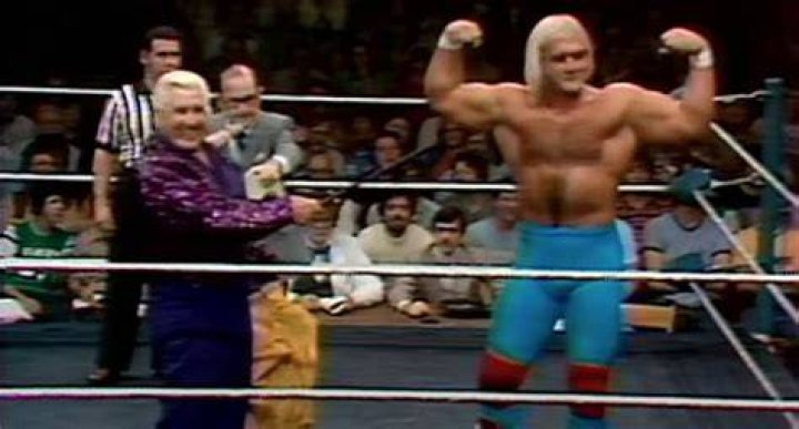 Hulk Hogan's Forgotten Partnership With 