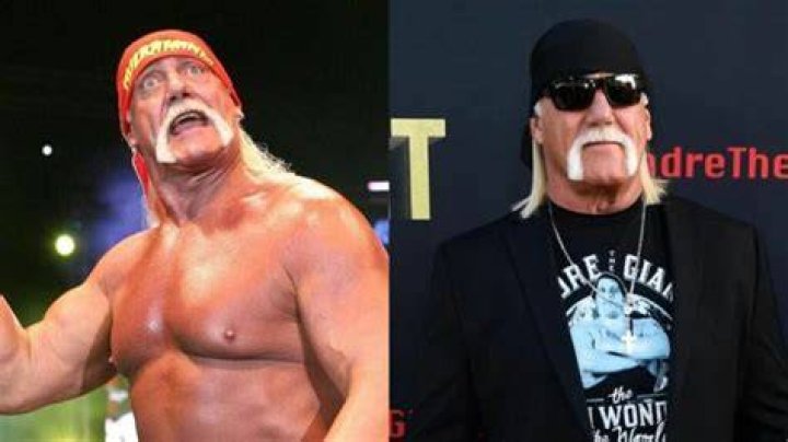 Hulk Hogan 2022
