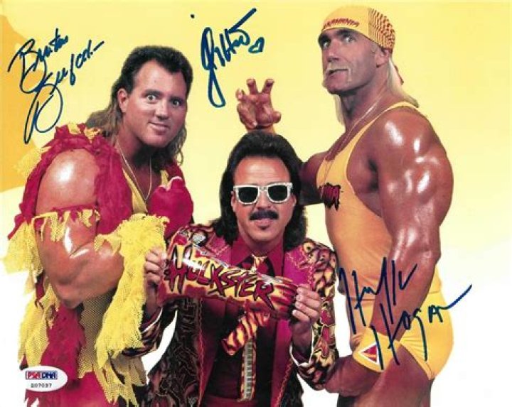 Hulk Hogan & Brutus Beefcake v Money Inc WrestleMania 9 Cropped
