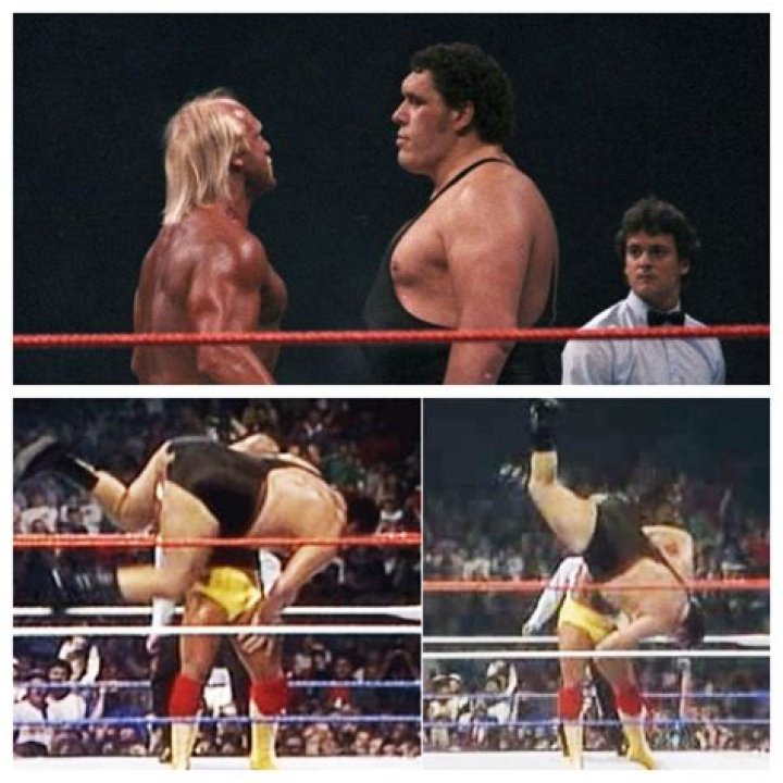 hulk hogan and andre the giant in wwe 2k24