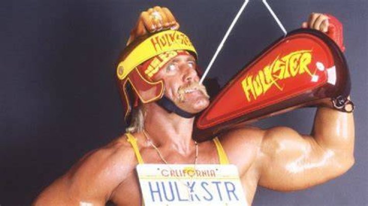 Hulk Hogan Helmet 